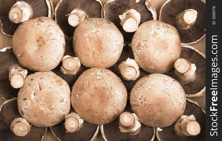 Portobello Mushrooms arranged in a pattern on a cardboard background