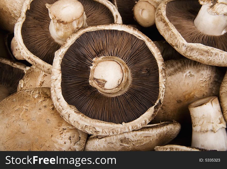 Portobello Mushrooms in a pile filling the frame