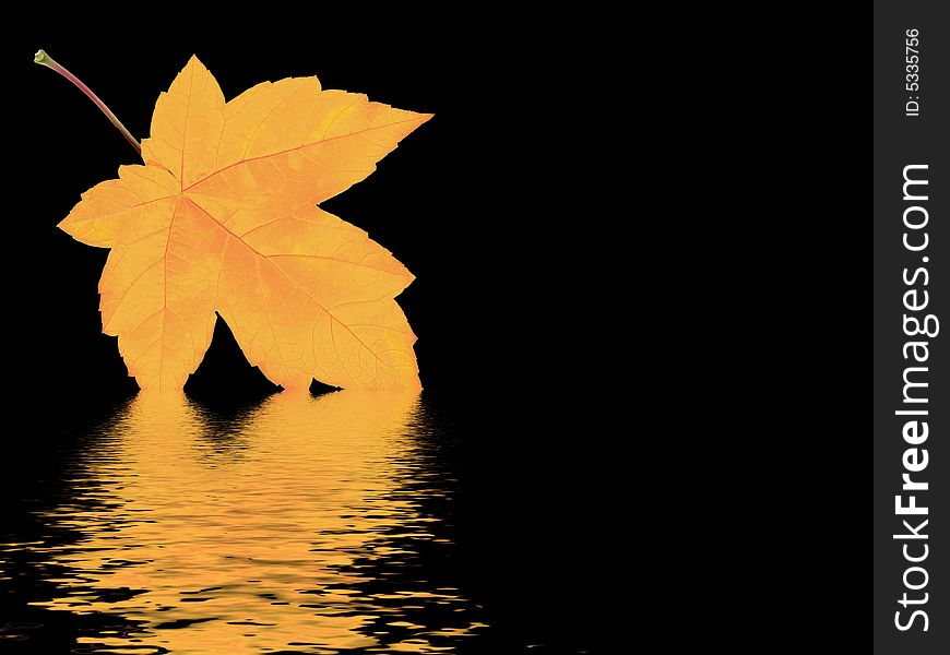 Autumn leaf and water reflection. Autumn leaf and water reflection