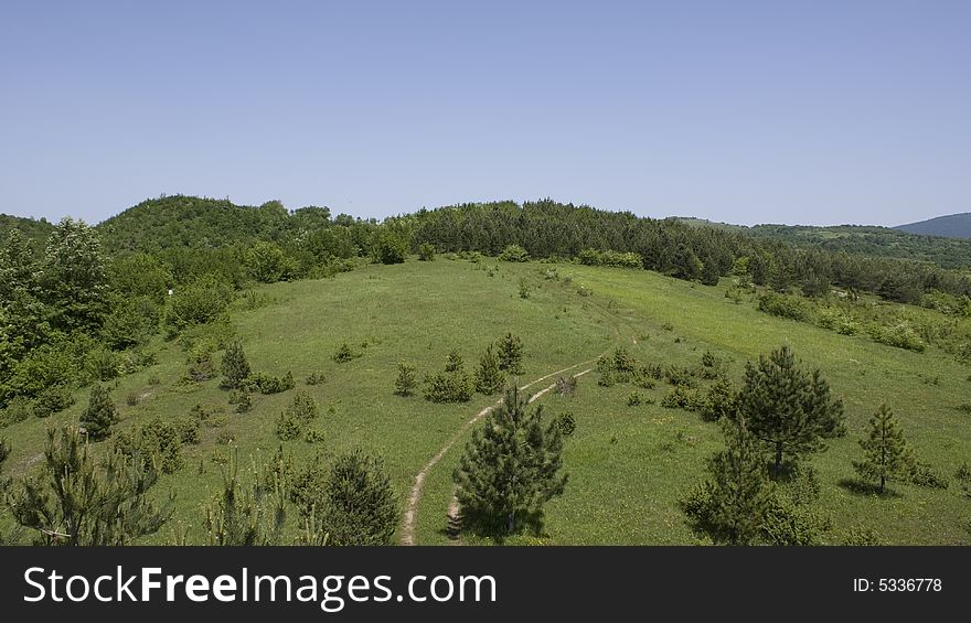 A view from a hunters elevated position. A view from a hunters elevated position