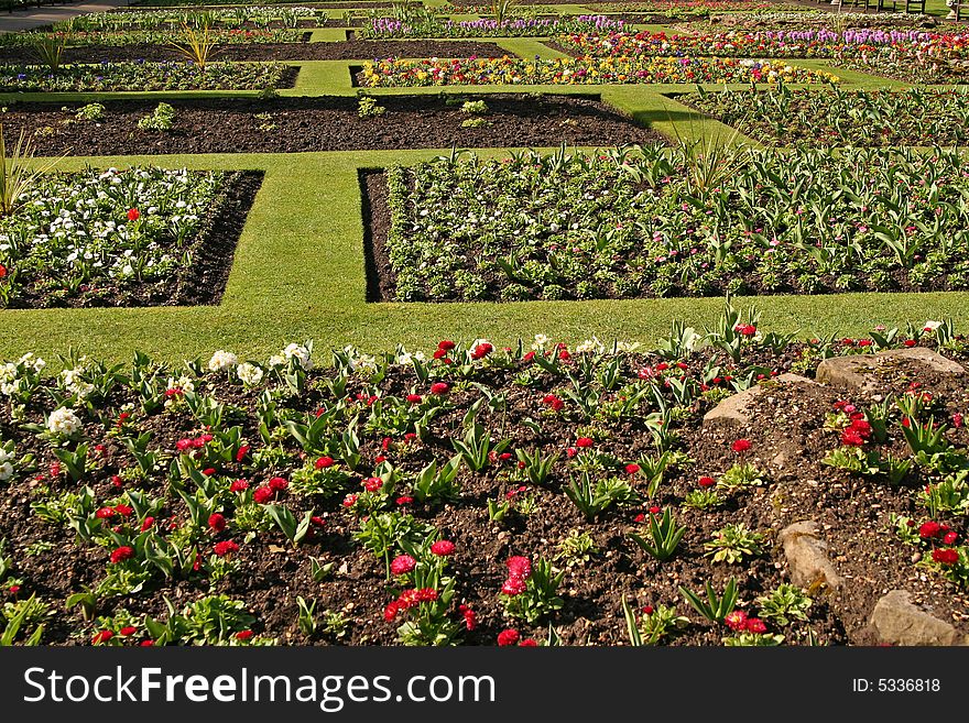 Botanical garden, early march, wide angle