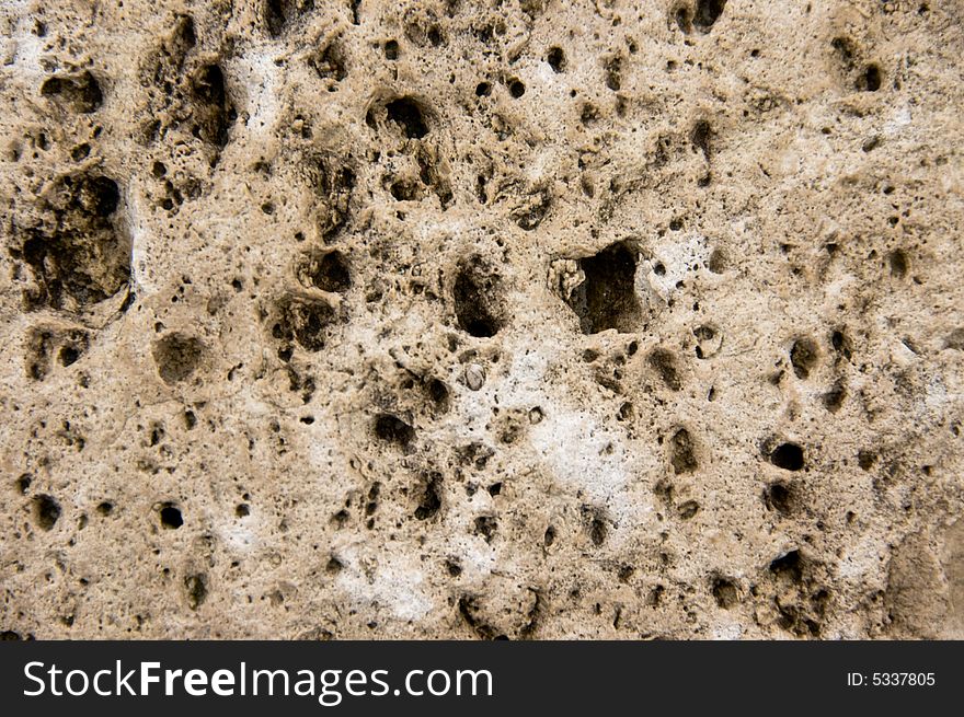 Weathered marine rock showing porous texture. Weathered marine rock showing porous texture