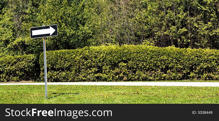 Directional sign on green forest background