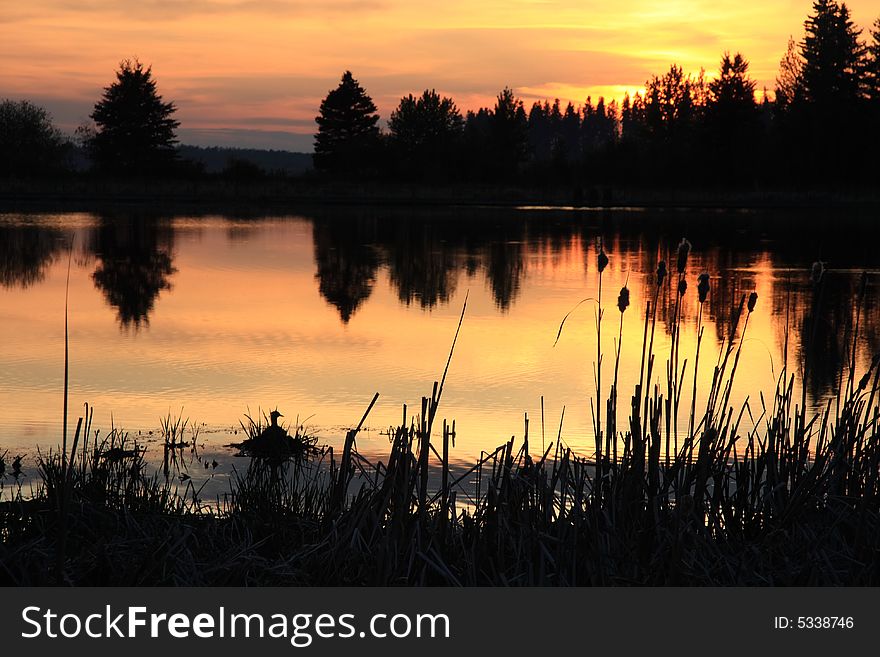 A golden sunset reflecting from a calm marsh lake on a warm summer evening