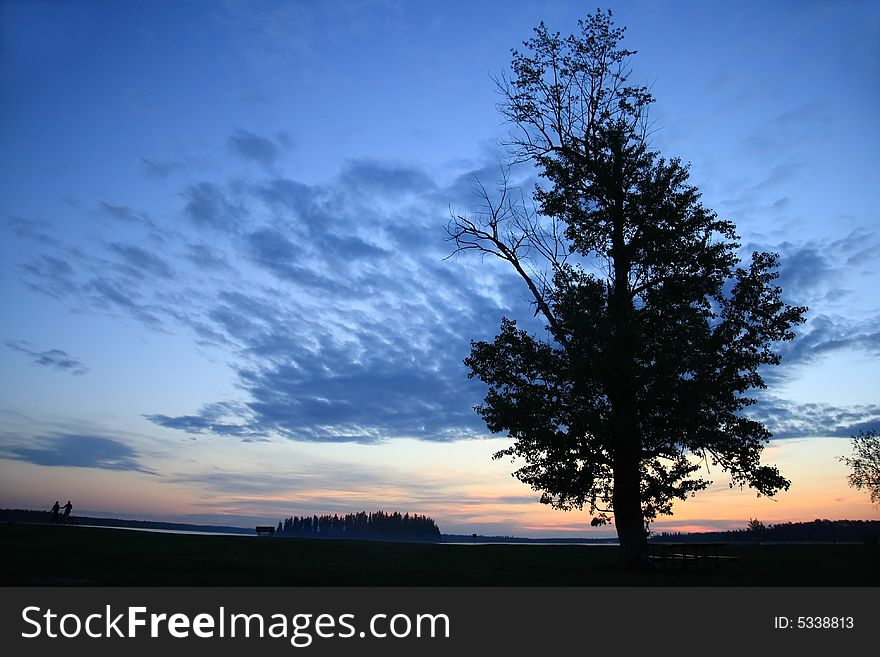 A couple in the distance and a large tree silhouetted against a peaceful blue sunset. A couple in the distance and a large tree silhouetted against a peaceful blue sunset