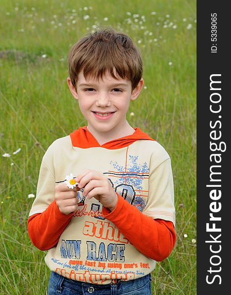 Boy tears away the petals of camomile on green a meadow. Boy tears away the petals of camomile on green a meadow