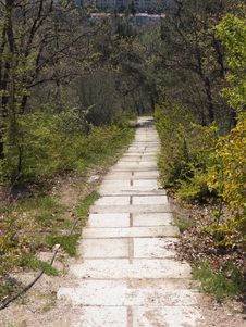 Stairs In The Reserve Stock Photography