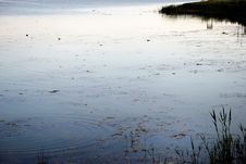 The Pond At Dawn (Mogan Park, Ankara/Turkey) Stock Image
