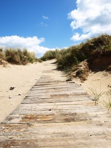 Pathway To Beach Royalty Free Stock Photography