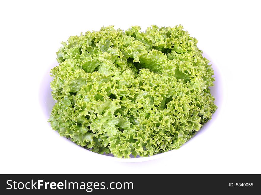 Fresh green lettuce in a white bowl