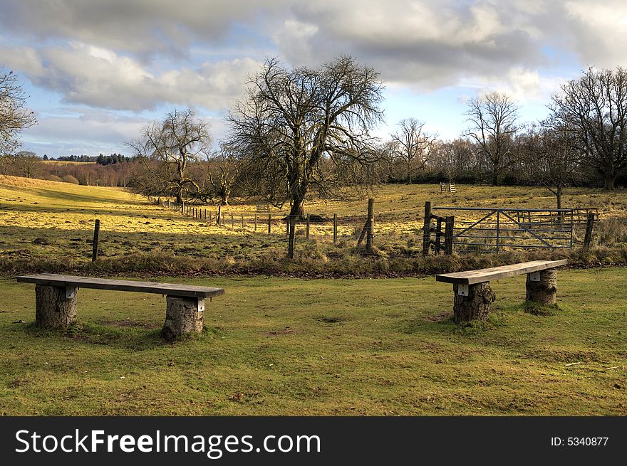 Country park scene in Scotland