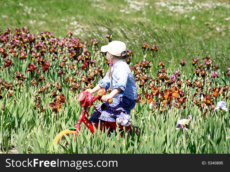 Girl ridin a bicycle in the irises meadow