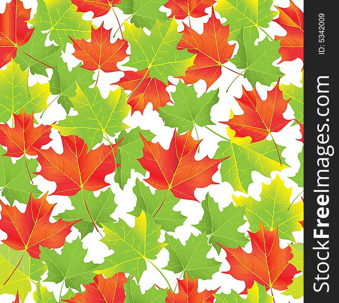 Illustration of seamless pattern with maple leaves