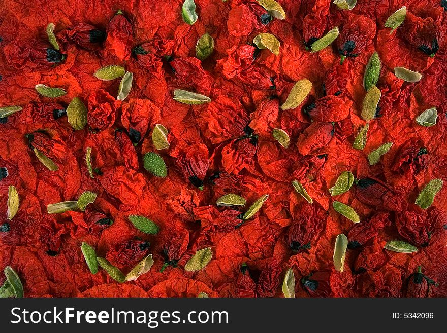 Red poppy petals and buds settle on a plate. Red poppy petals and buds settle on a plate