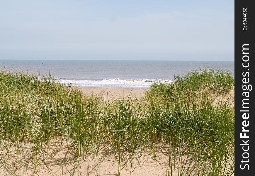 A view of the sea through some sand dune. A view of the sea through some sand dune