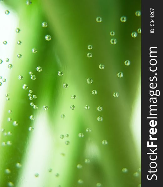 Water bubbles on green stalks background. Water bubbles on green stalks background