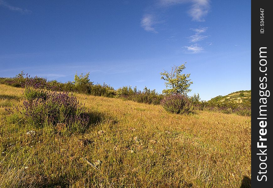 Picture of the typical countryside in Portugal hills. Picture of the typical countryside in Portugal hills