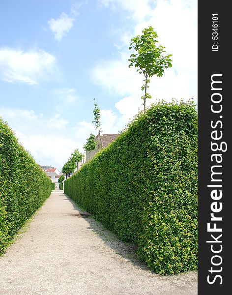 Path in park Belvedere, Vienna, Austria