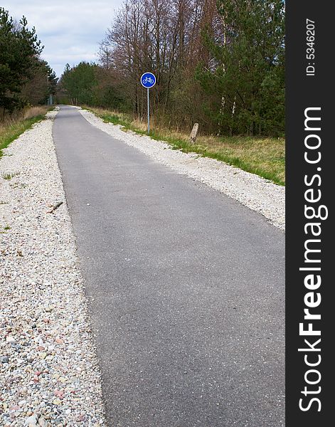 Bicycle path in the spring forest. Bicycle path in the spring forest