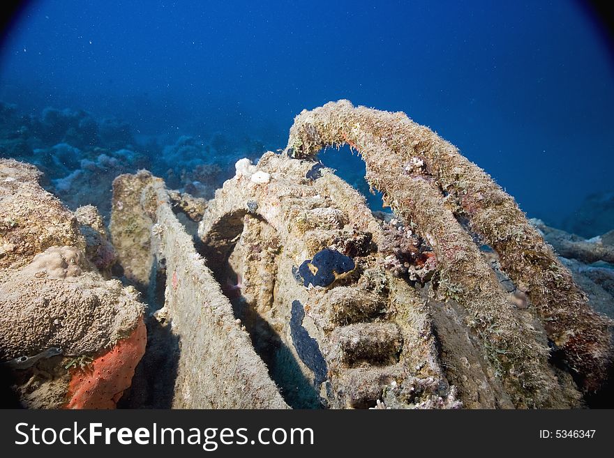 Winch taken in the Red Sea.