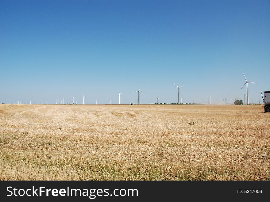 Large wheat field with many wind powered electricity generaters in the background. Also there is a combine cutting the wheat in the background along with the backend of a truck to load the wheat. Large wheat field with many wind powered electricity generaters in the background. Also there is a combine cutting the wheat in the background along with the backend of a truck to load the wheat