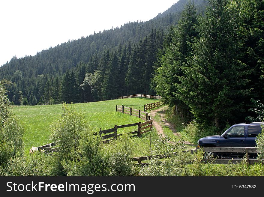 Forest path with fence during midday