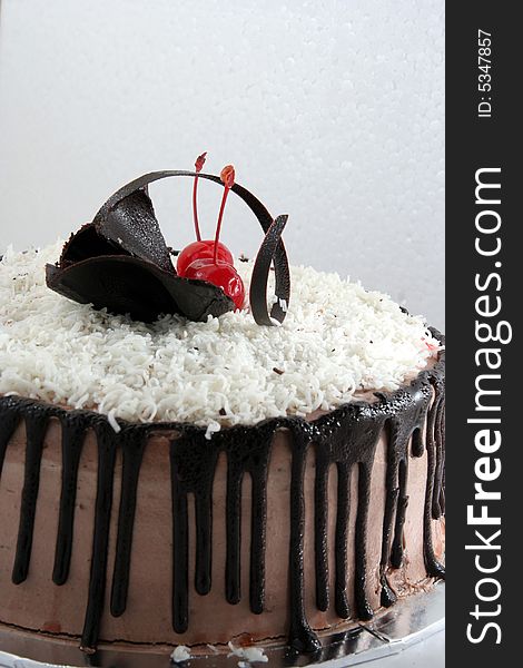 Chocolate sacher cake pastry and bakery. Collection of cakes and breads: HERE