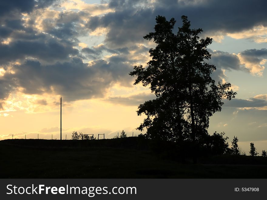 Silhouette of a large tree and fence as dusk falls over a rural farm. Silhouette of a large tree and fence as dusk falls over a rural farm