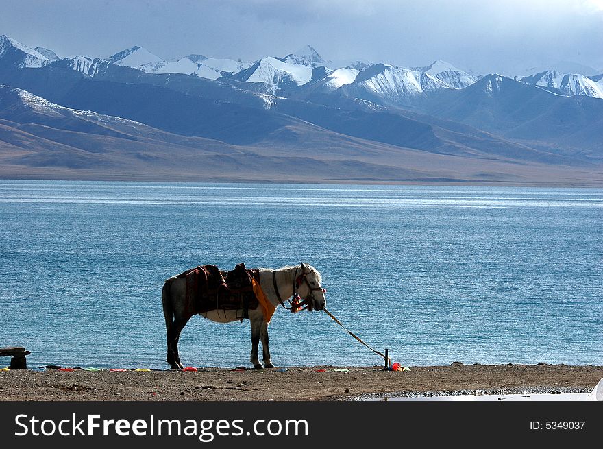 The Tibetan saint lake  salt water Namutso,an inland glacier lake of pure crystal clear water,Tiebet,China. The Tibetan saint lake  salt water Namutso,an inland glacier lake of pure crystal clear water,Tiebet,China.