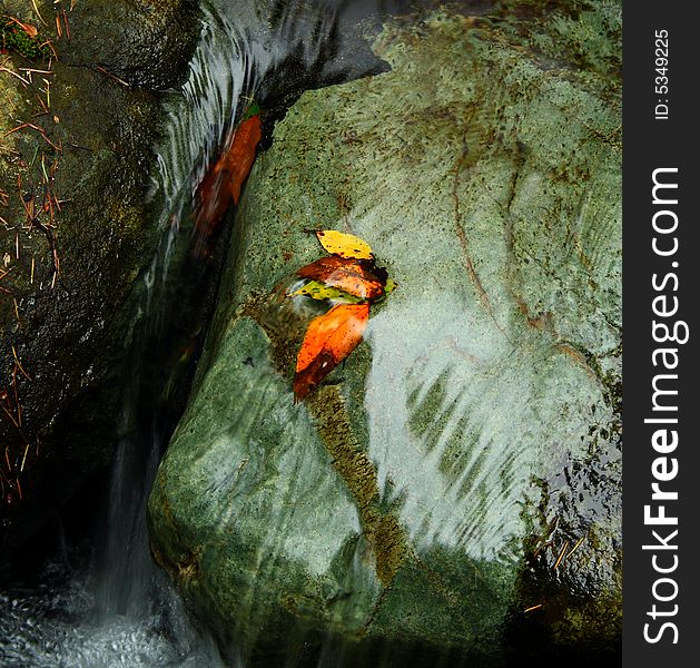 Colorful leaves on a rock bathed with a stream of water