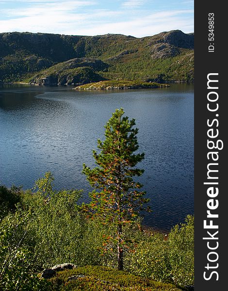 Landscape Of Wild Fiord In Norway
