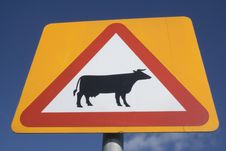 Cows Crossing Road Sign Stock Image Cows Crossing Road Sign Stock Image