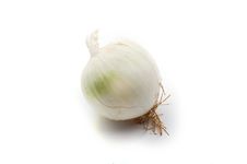 White Onion Stock Image White Onion Stock Image