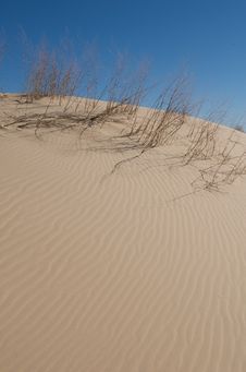 Sand Dunes With Tall Grass And A Blue Sky Stock Image Sand Dunes With Tall Grass And A Blue Sky Stock Image