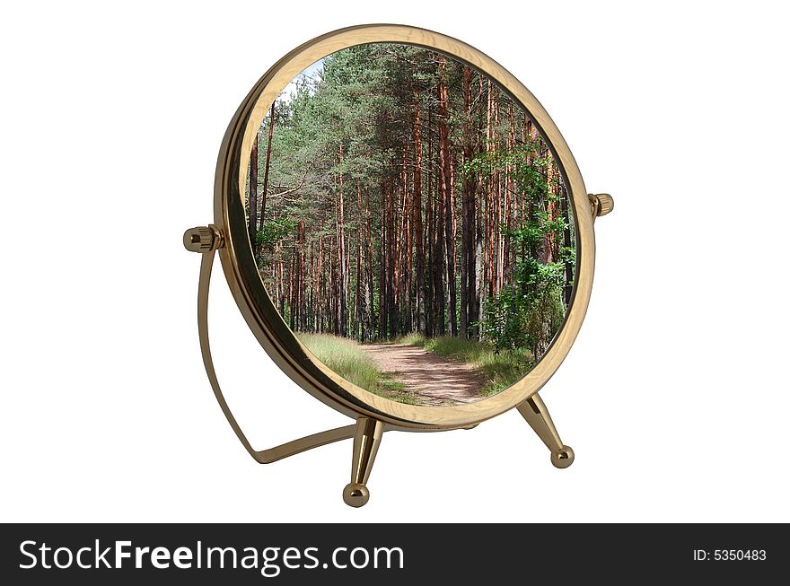 Round mirror with reflected forest. Round mirror with reflected forest