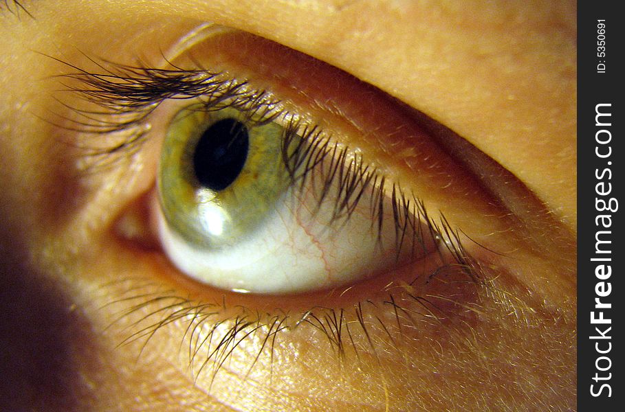 Green eye with lashes looking up. Green eye with lashes looking up.