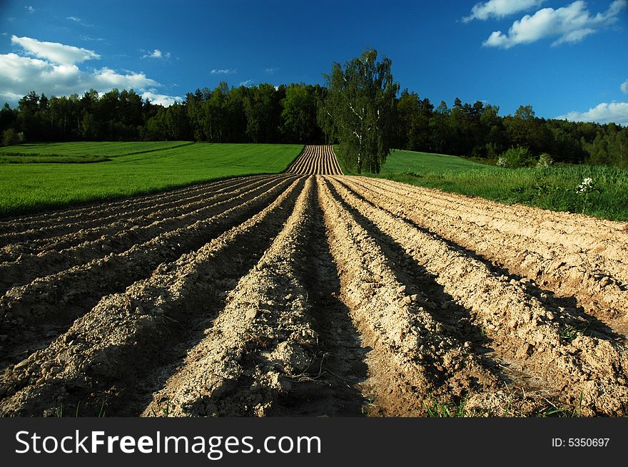 Fresh plough field in country. Fresh plough field in country