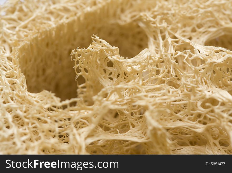 Macro shot of a loofah sponge cleaning product.