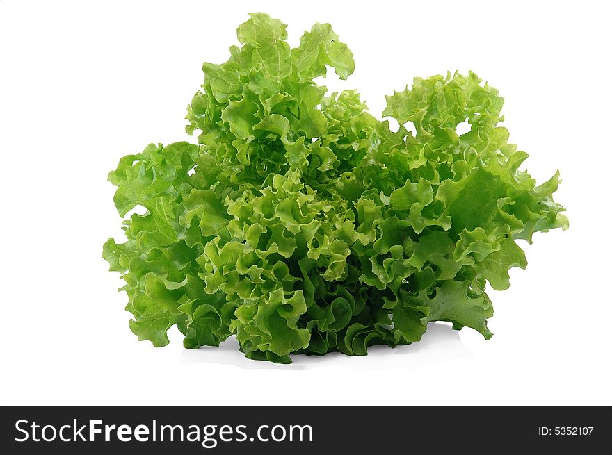 Green fresh salad on white background