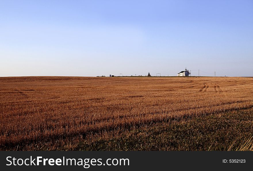 A small church alone in a vast field of wheat, South Dakota. A small church alone in a vast field of wheat, South Dakota.