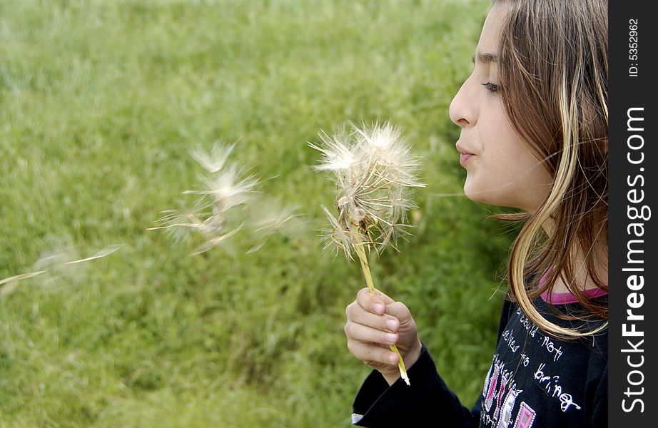 A cute little girl blowing on a dandelion.