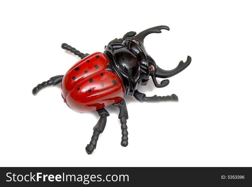 Ladybird Toy