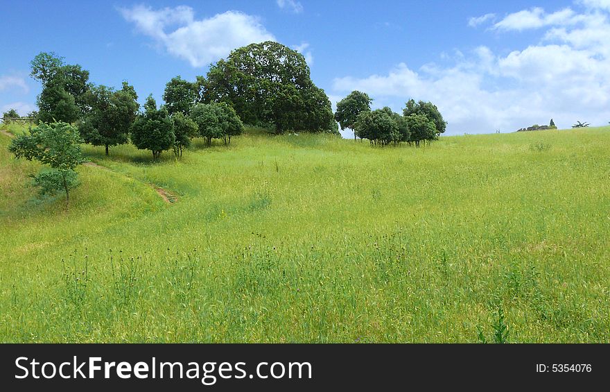 Green field and blue sky with clouds in the Caffarella's park in Rome,near Appia Antica street. Green field and blue sky with clouds in the Caffarella's park in Rome,near Appia Antica street