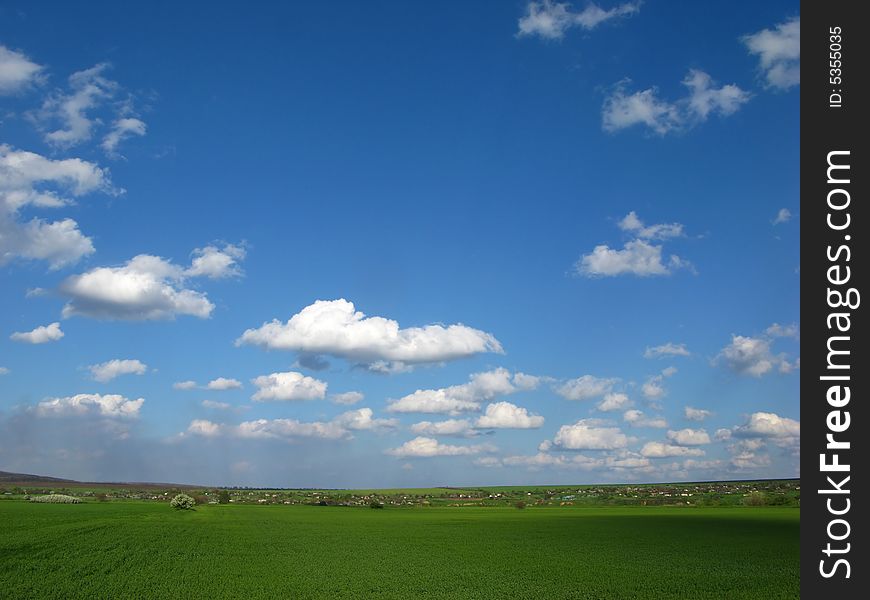 Spring rural landscape with green field