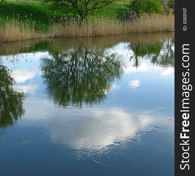 Rural landscape, reflection of  dismissed tree in water. Rural landscape, reflection of  dismissed tree in water