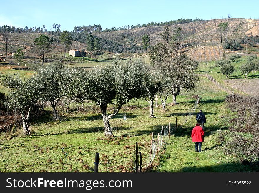 Man and woman walking in nature