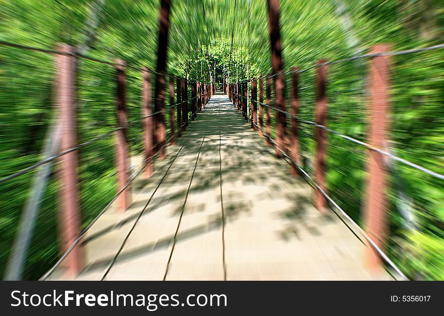 Moving over a suspension bridge in the park. Moving over a suspension bridge in the park