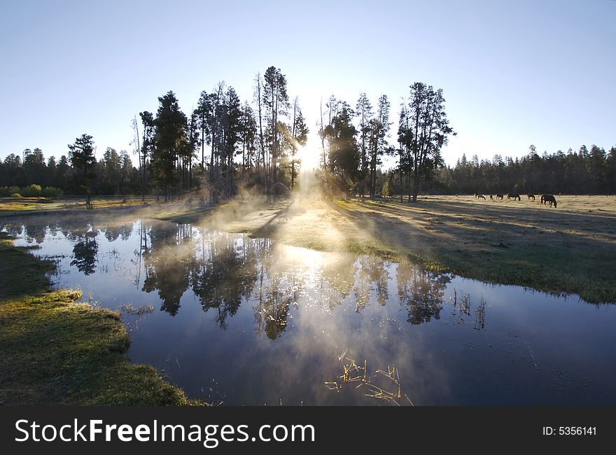 Misty Morning Sunrise