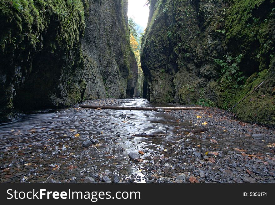 Oneonta Gorge in Northern Oregon