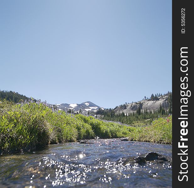 Sunshine meadow creek and the Middle Sister